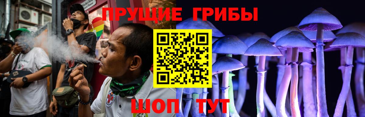 Галлюциногенные грибы Psilocybe Бугульма